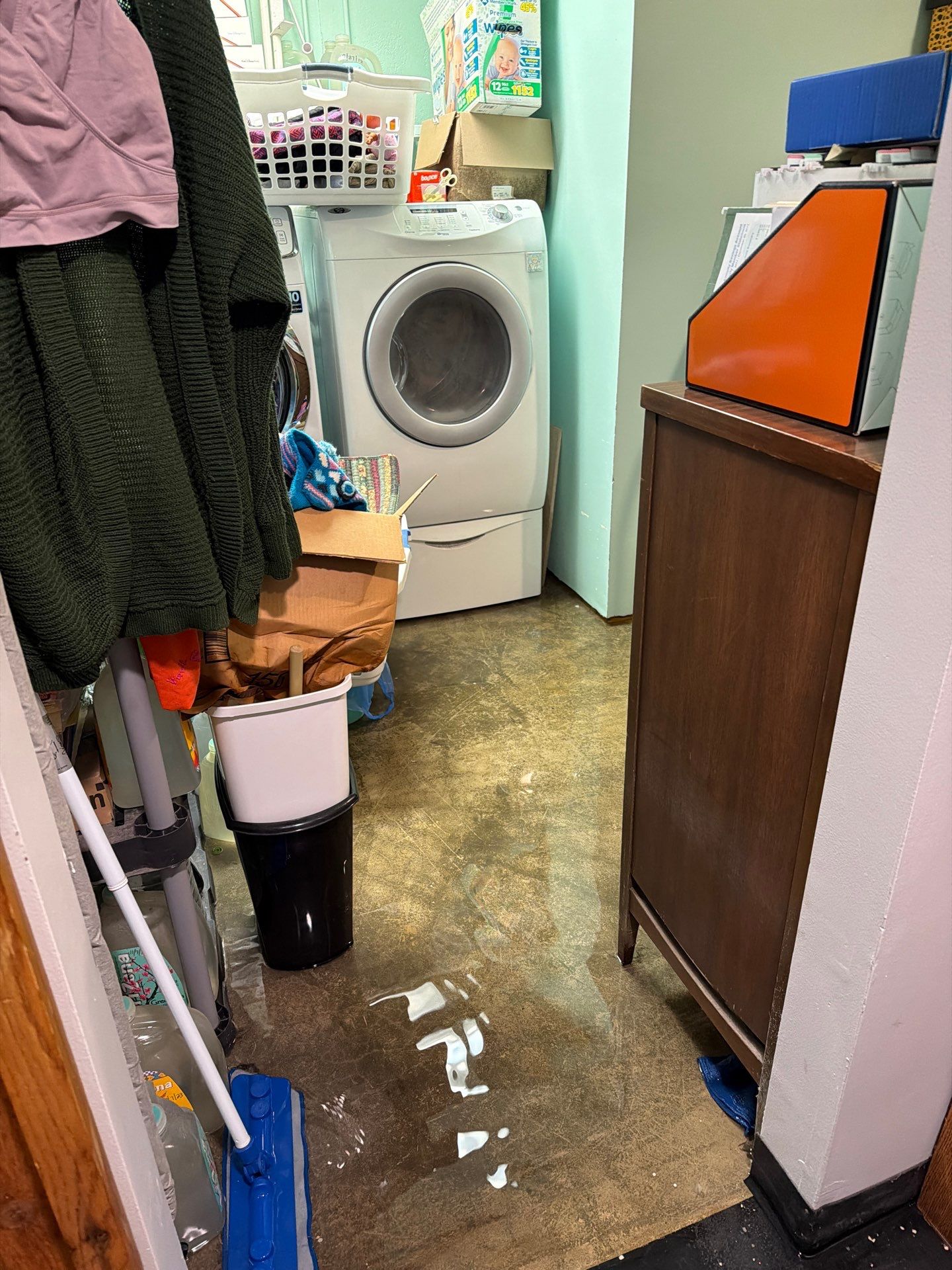 Toilet Overflow Cleanup in Brazil: Category 3 Water